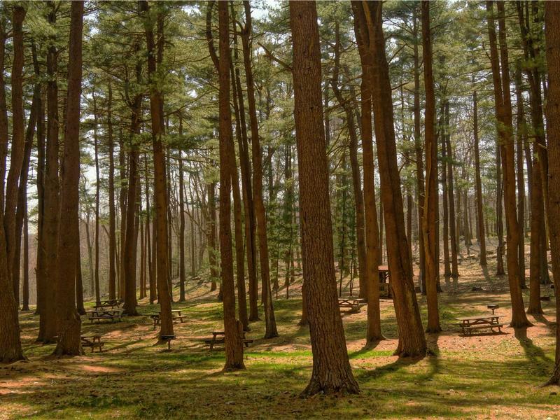 sudoku no mistakes screenshot 2