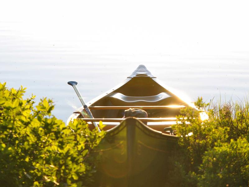 sudoku no mistakes screenshot 3